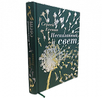 Книга «Несказанный свет»