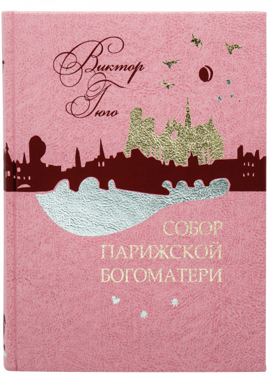 Гюго В. М., Книга «Собор Парижской Богоматери»