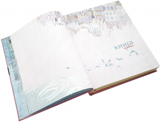 Гюго В. М., Книга «Собор Парижской Богоматери»