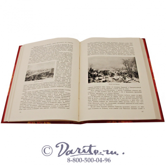 Данилевский Н. Я., Книга «Отечественная война 1812»