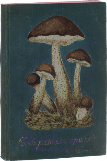 Антикварная книга «Собиратель грибов»