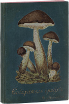 Антикварная книга «Собиратель грибов»