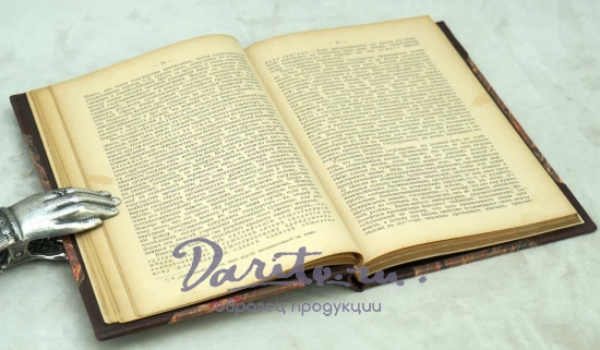Антикварная книга Дунаев В.И., Никитский А.А.«Очерки науки о государствъ»