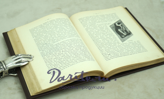 О животныхъ и людях.К.Гагенбекъ Антикварная книга 1912 г.