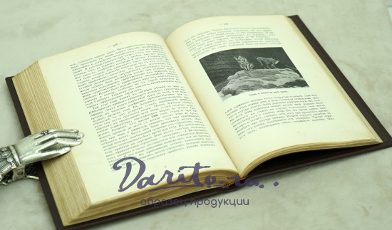 О животныхъ и людях.К.Гагенбекъ Антикварная книга 1912 г.