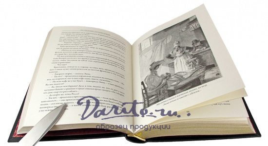 Подарочная книга «Госпожа Бовари»