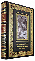Подарочная книга. Житейские воззрения кота Мурра в кожаном переплете с тиснением