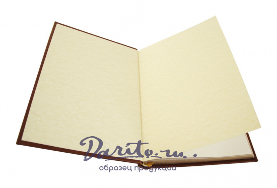 Книга «Слово о полку Игореве, Игоря сына Святославова, внука Олегова»