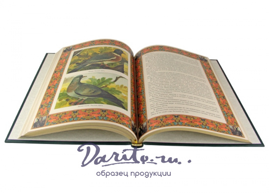 Книга в подарок. Русская охота в кожаном переплете с золотым обрезом