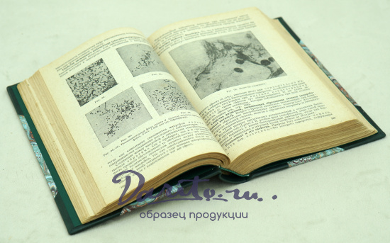 Учебник медицинской микробиологии И.Л.Кричевский. Антикварная книга 1936 г.