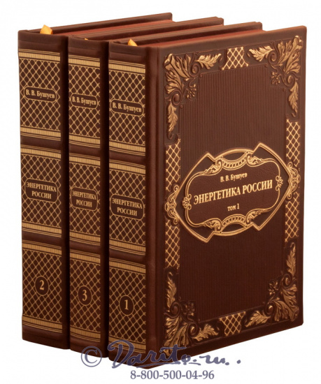 Подарочная книга «Энергетика России»