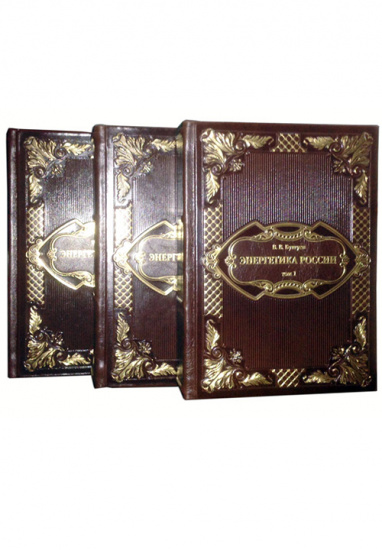 Подарочная книга «Энергетика России»