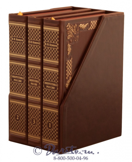Подарочная книга «Энергетика России»