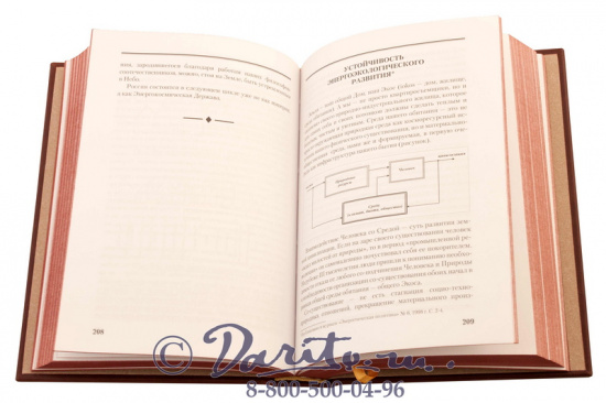 Подарочная книга «Энергетика России»