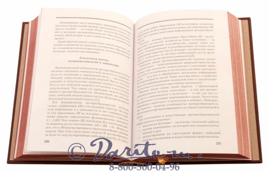 Подарочная книга «Энергетика России»