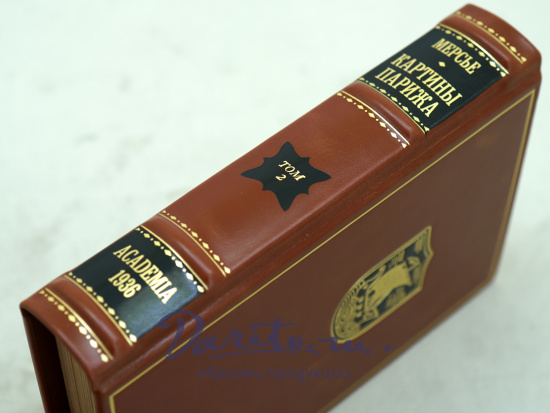 Антикварные книги «Картины Парижа»