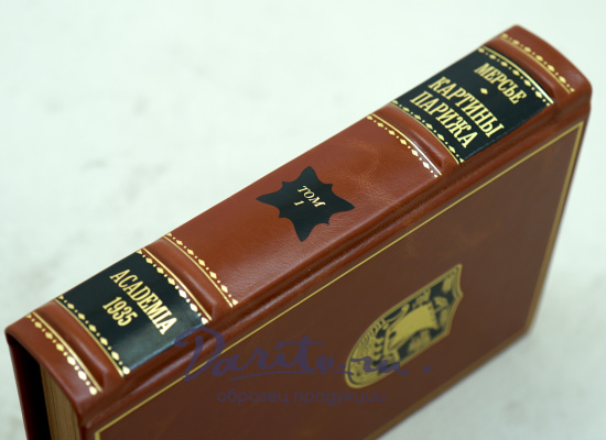 Антикварные книги «Картины Парижа»