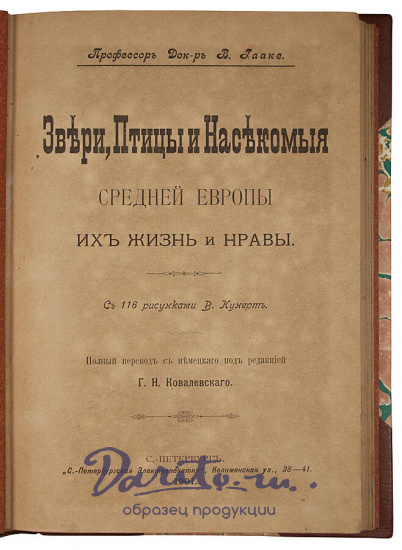 Антикварное издание «Звери, птицы и насекомые Средней Европы. Их жизнь и нравы»