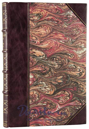 Центнершвер М.Г. Очерки по истории химии (Антикварная книга 1912г.)