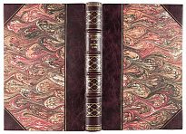 Центнершвер М.Г. Очерки по истории химии (Антикварная книга 1912г.)