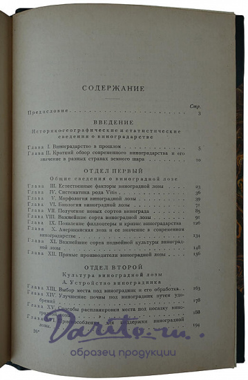 Кротков А.А. Виноградарство (Антикварная книга 1927г.)