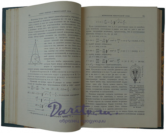 Кротков А.А. Виноградарство (Антикварная книга 1927г.)