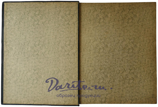 Гоголь Н. В. Похождения Чичикова, или Мертвые души: Поэма (1900г.)