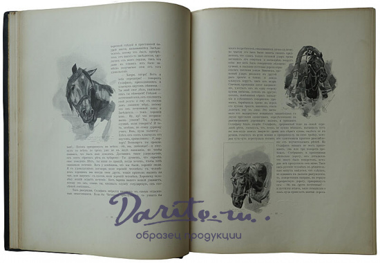 Гоголь Н. В. Похождения Чичикова, или Мертвые души: Поэма (1900г.)
