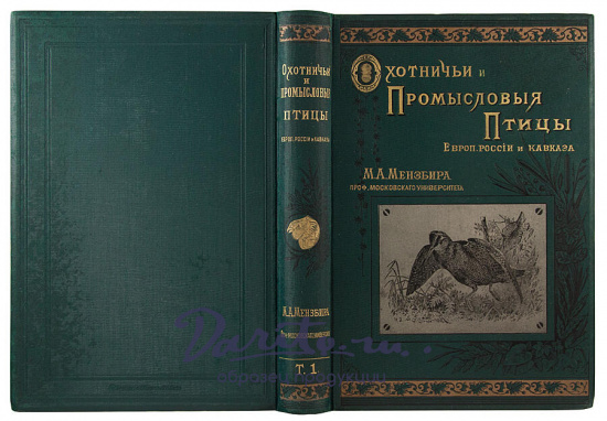 Антикварная книга «Охотничьи и промысловые птицы Европейской России и Кавказа»