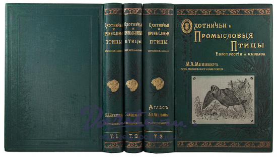 Антикварная книга «Охотничьи и промысловые птицы Европейской России и Кавказа»
