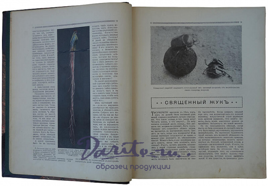 Чудеса природы. Замечательные произведения живой и мертвой природы в отдельных очерках выдающихся специалистов-ученых (1914г.)