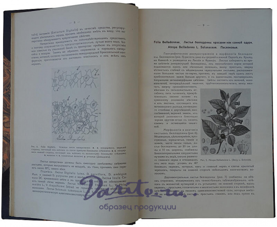 Давыдов Д.Л. Учебник фармакогнозии (Автограф автора на титульном листе, 1911г.)