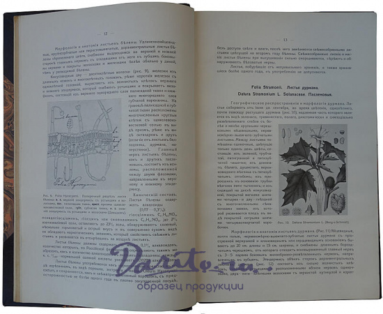 Давыдов Д.Л. Учебник фармакогнозии (Автограф автора на титульном листе, 1911г.)