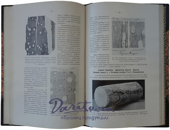 Давыдов Д.Л. Учебник фармакогнозии (Автограф автора на титульном листе, 1911г.)