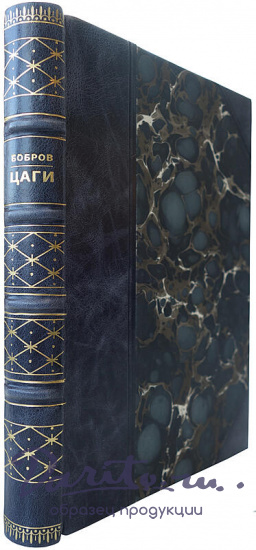 Бобров Н.Н. ЦАГИ (1934г.)