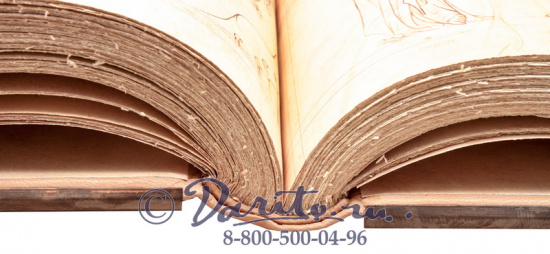 Книга «Velislavova Bible/Библия Велислава»