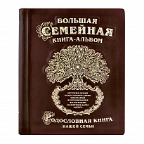 Большая семейная родословная книга-альбом в кожаном переплете с тиснением