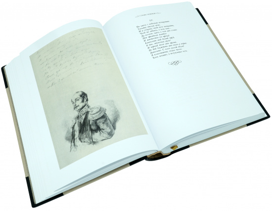 Пушкин А. С. , Книга в подарок «Евгений Онегин. Роман в стихах»