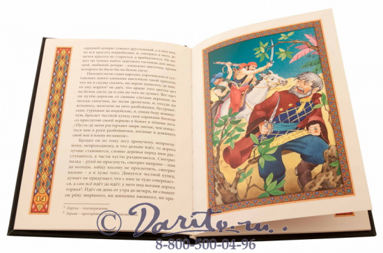 Аксаков С.Т., Книга «Аленький цветочек»
