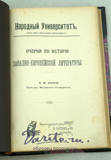 Очерки по истории Западно-Европейской литературы.В.М.Фриче.Антикварная книга 1908г.