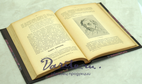 Очерки по истории Западно-Европейской литературы.В.М.Фриче.Антикварная книга 1908г.