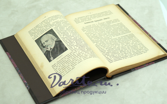 Очерки по истории Западно-Европейской литературы.В.М.Фриче.Антикварная книга 1908г.