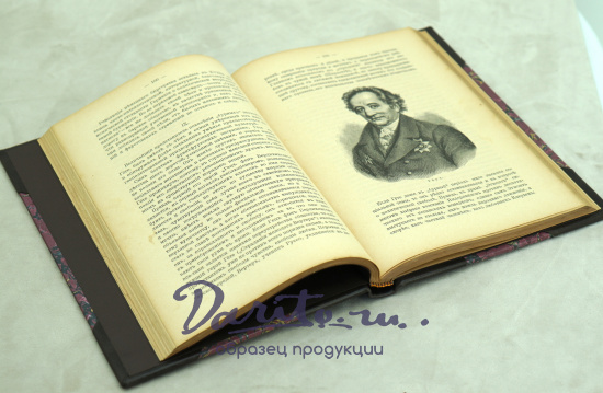 Очерки по истории Западно-Европейской литературы.В.М.Фриче.Антикварная книга 1908г.