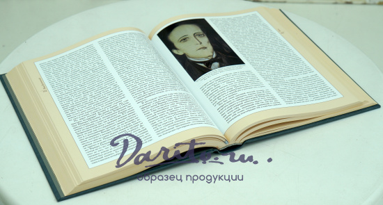 Книга «Ваш Достоевский»