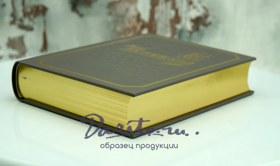 Книга «Ваш Достоевский»