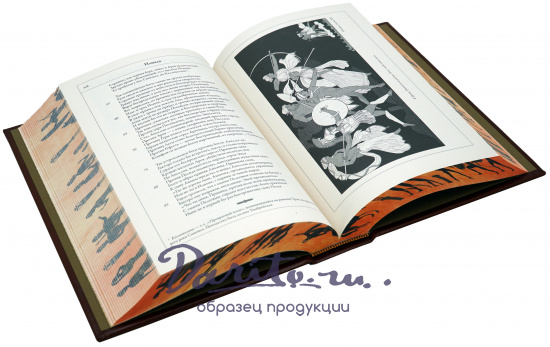 Книга Гомера «Илиада.Одиссея»