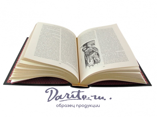 Гофман Э. Т., Книга в подарок. Сказки. Эрнст Теодор Амадей Гофман в кожаном переплете с тиснением и фотопечатью
