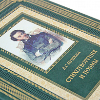 Стихотворения и поэмы с иллюстрациями и комментариями. А. С. Пушкин