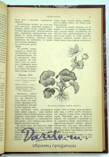Антикварная книга «ПОЭЗIЯ ФЛОРЫ»