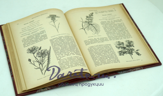 Антикварная книга «ПОЭЗIЯ ФЛОРЫ»
